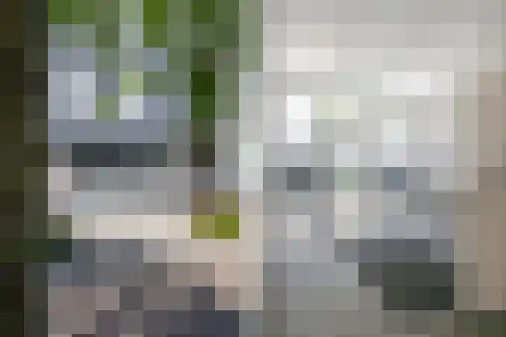 Manis Krijgsmanhof 76 's-Hertogenbosch thumbnail 7