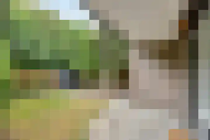 Mankeslaan 27 Nieuwegein thumbnail 31