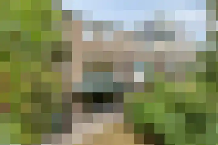 Mankeslaan 27 Nieuwegein thumbnail 32