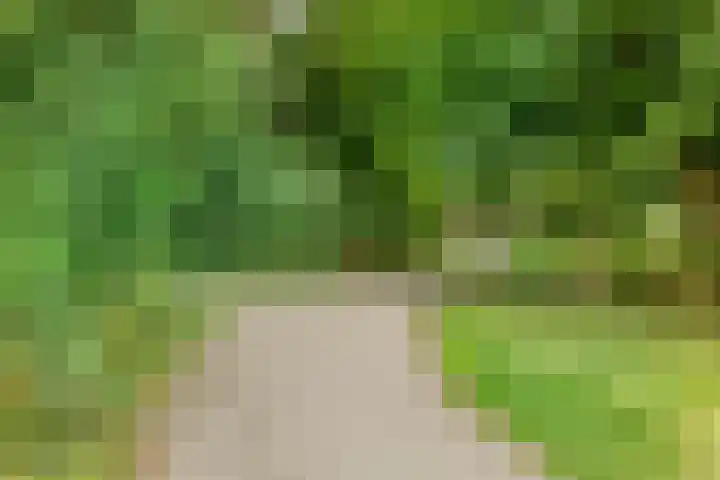 Mankeslaan 27 Nieuwegein thumbnail 37