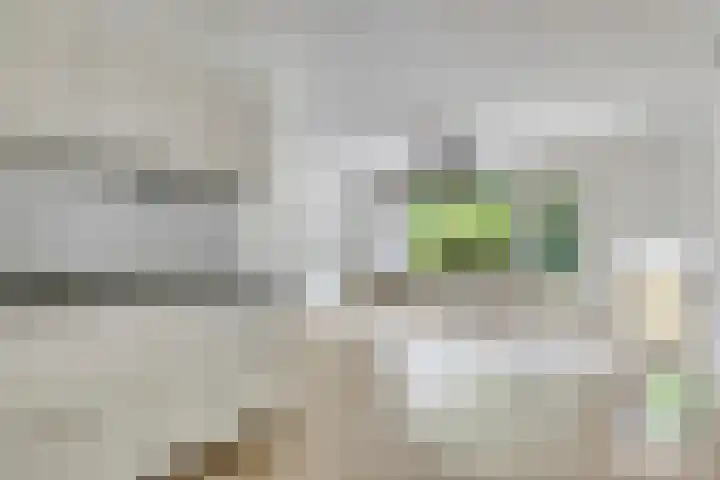 Mankeslaan 27 Nieuwegein thumbnail 5