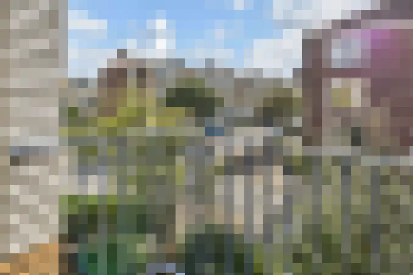 Mankesstraat 87 Den Haag thumbnail 8