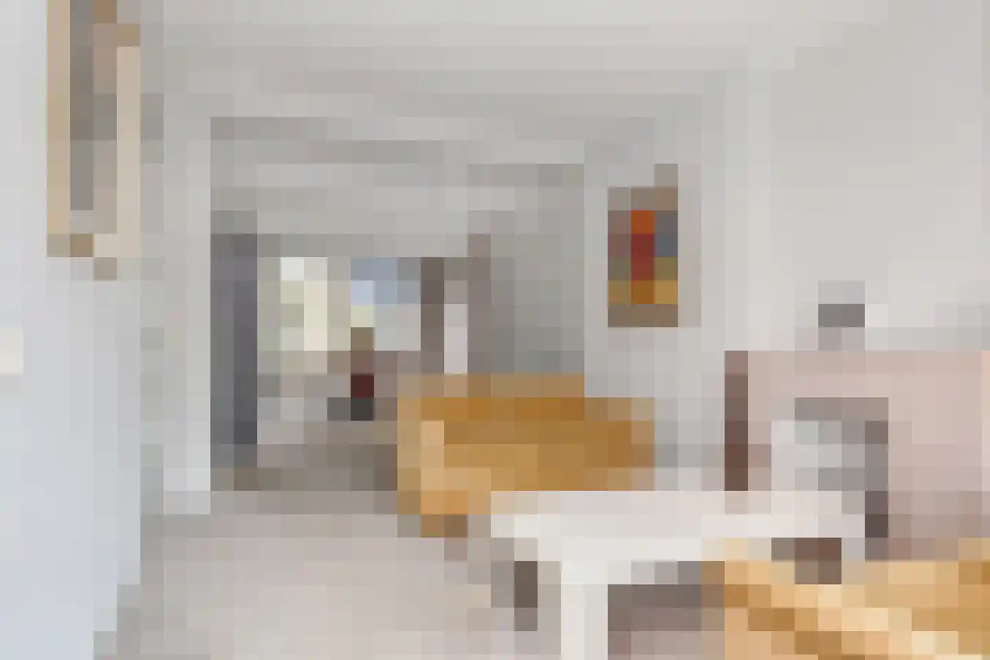 Mankesstraat 87 Den Haag thumbnail 9