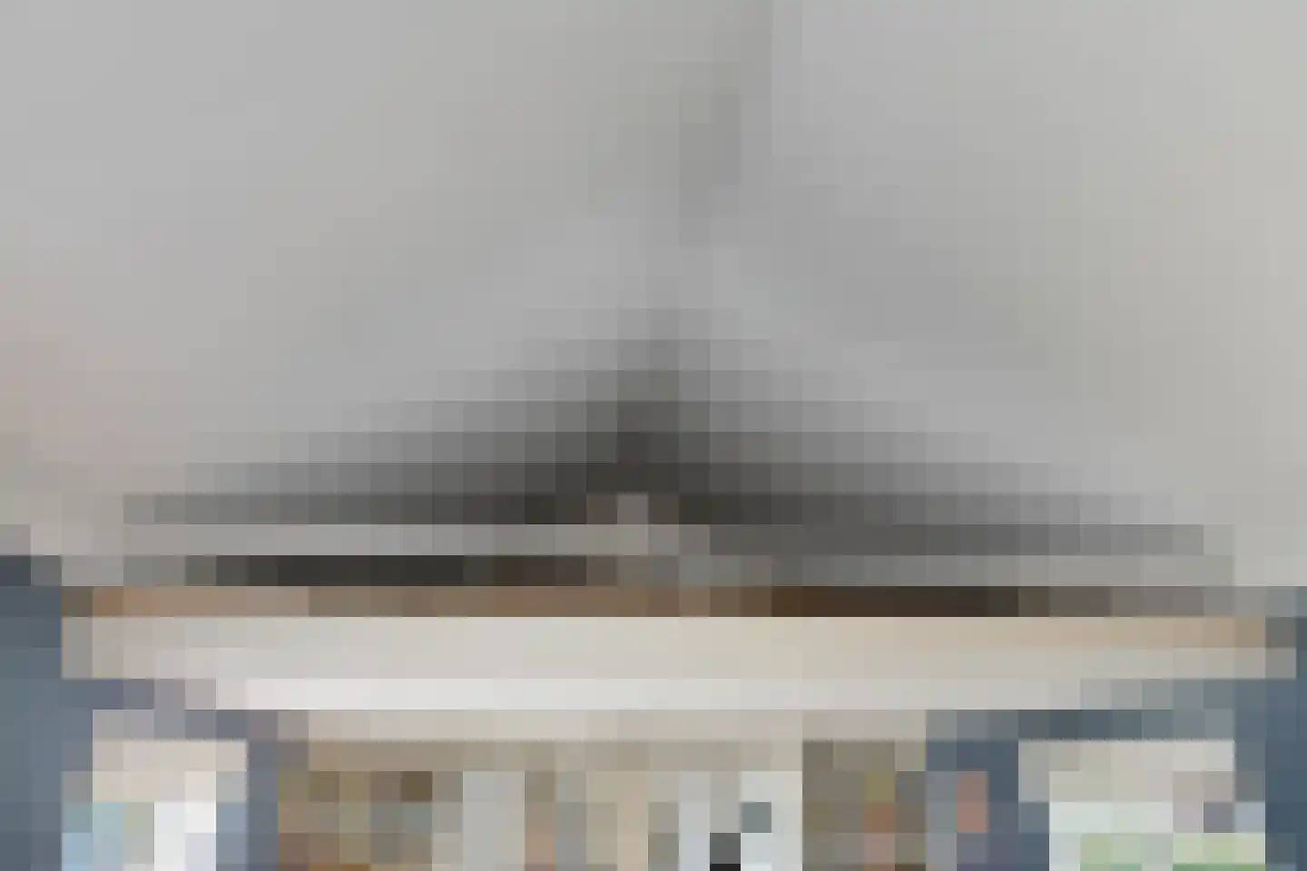 Mannagras 1 Zwolle thumbnail 14