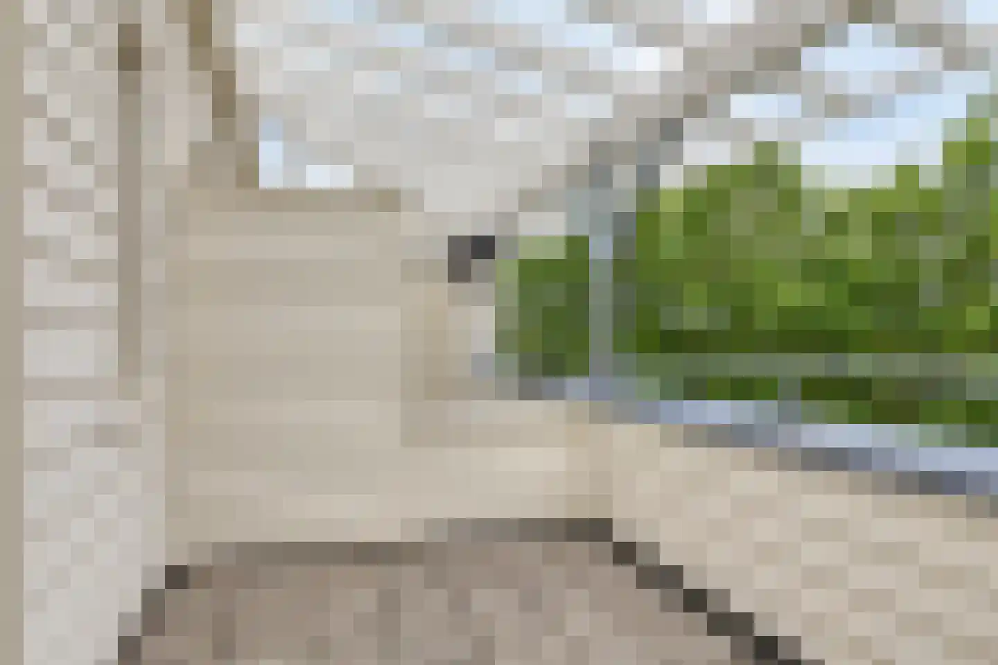 Mannagras 1 Zwolle thumbnail 37