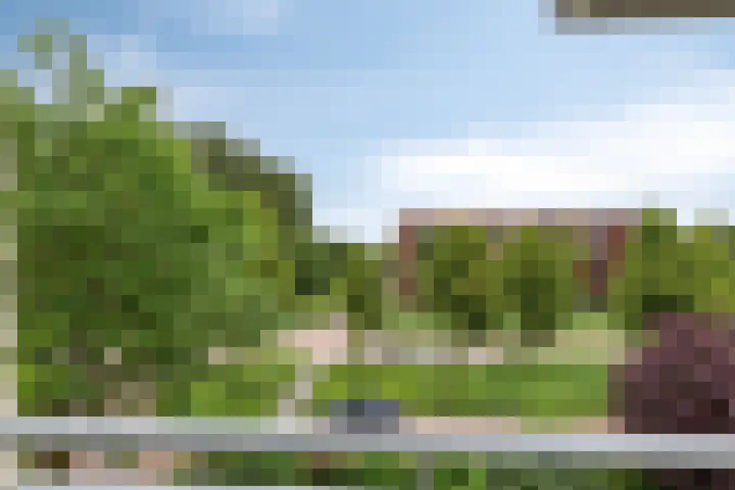Mannagras 1 Zwolle thumbnail 38