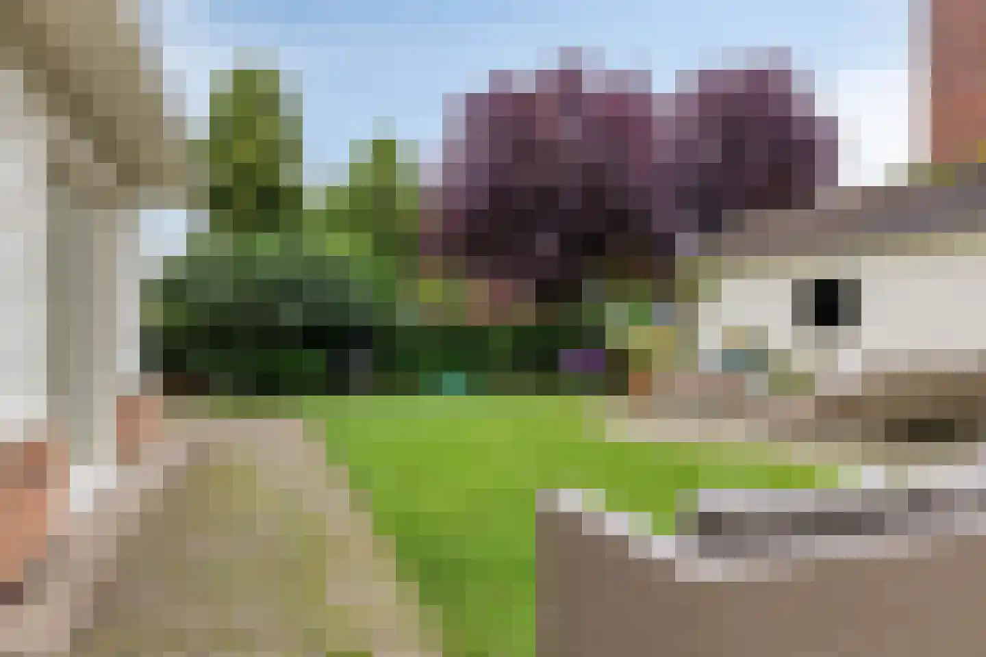 Mannagras 1 Zwolle thumbnail 39