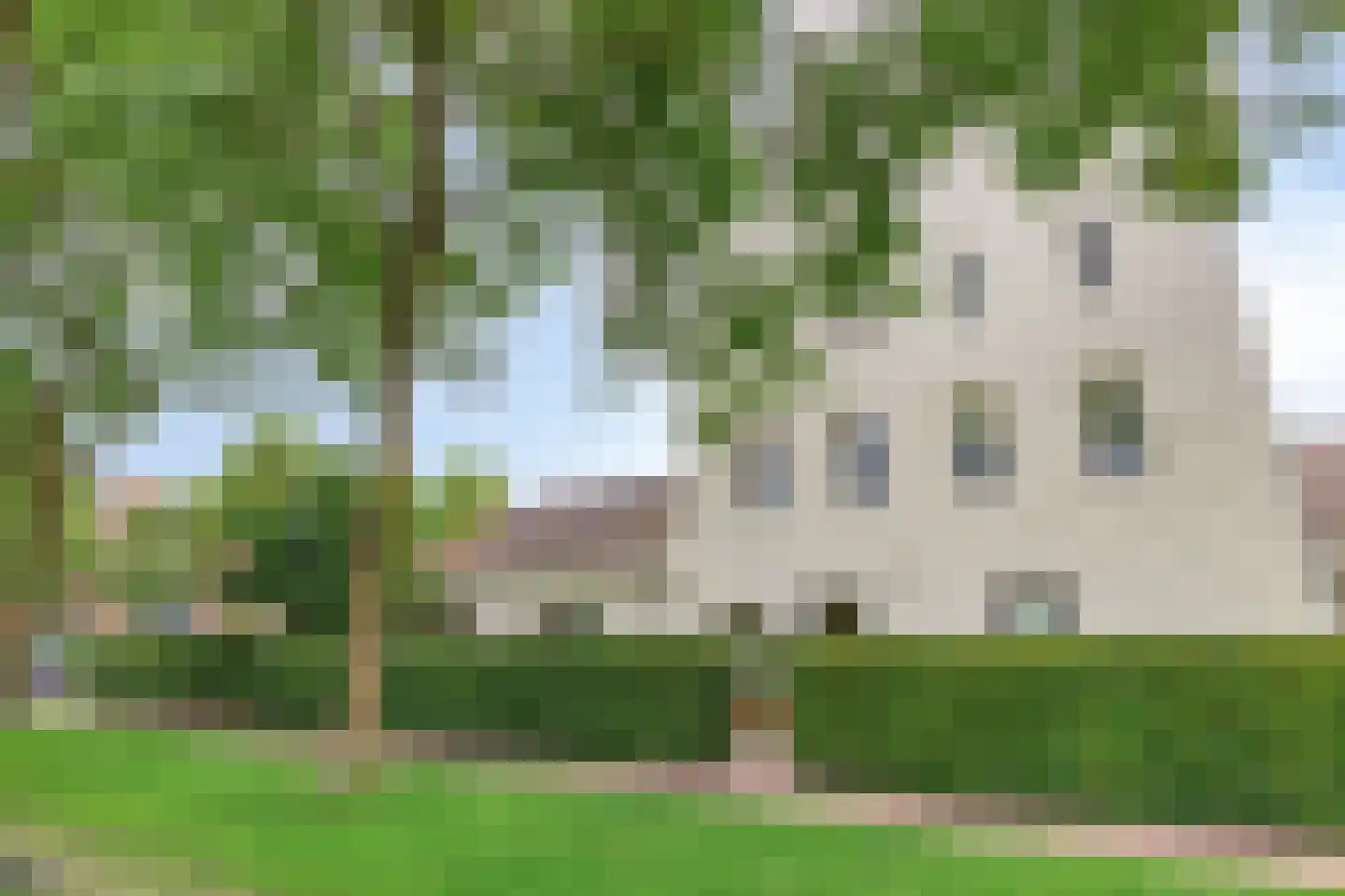 Mannagras 1 Zwolle thumbnail 4