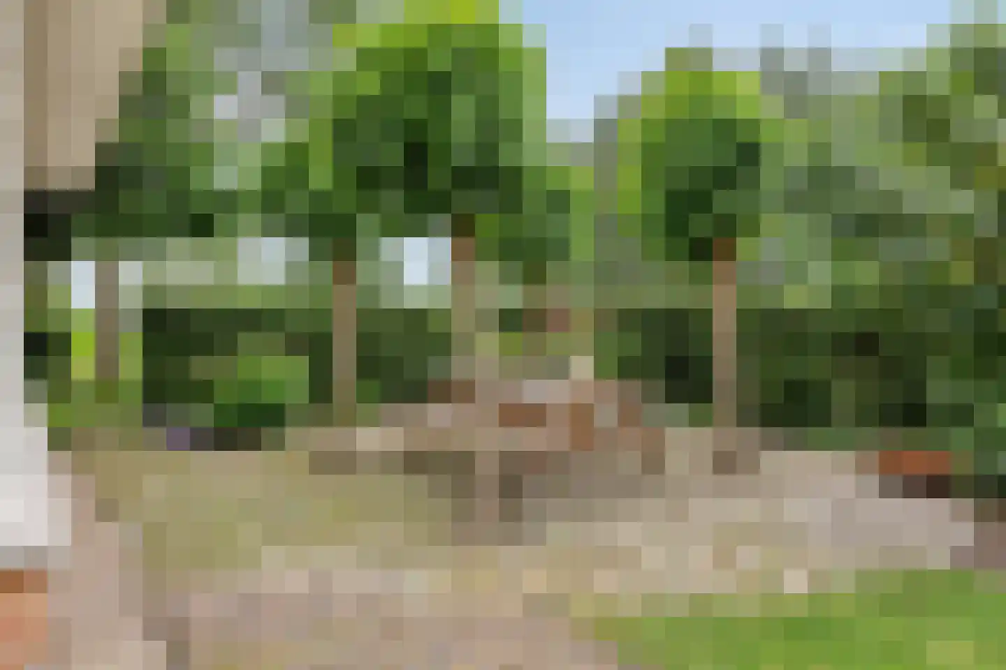 Mannagras 1 Zwolle thumbnail 40