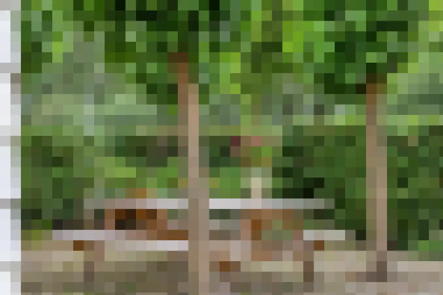 Mannagras 1 Zwolle thumbnail 46