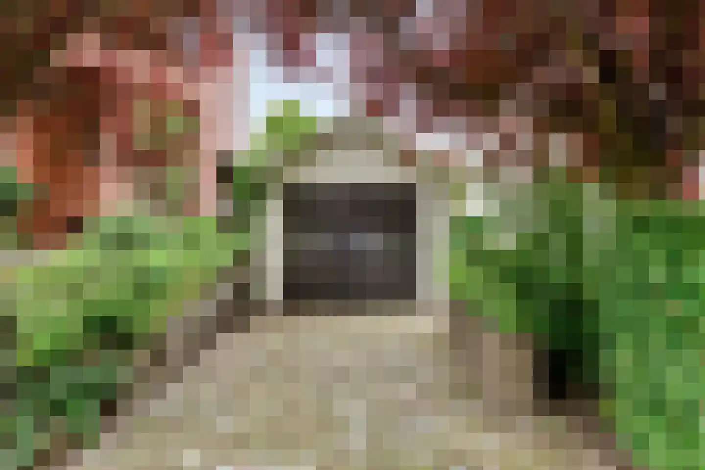 Mannagras 1 Zwolle thumbnail 5