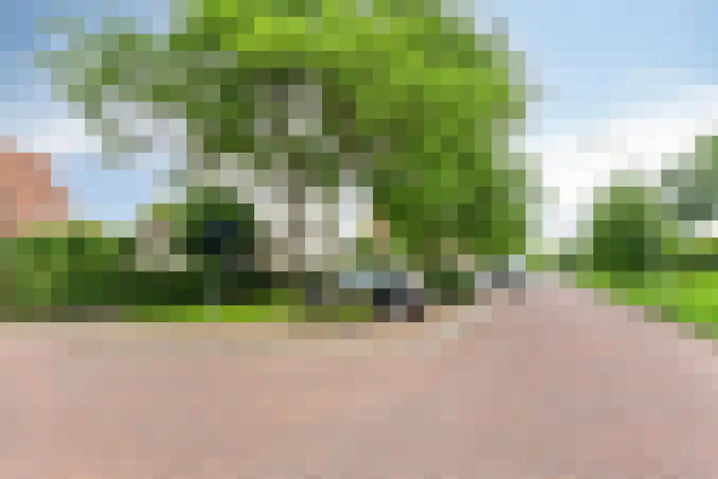 Mannagras 1 Zwolle thumbnail 6