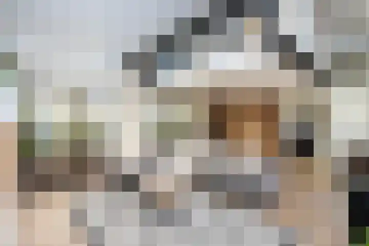 Mannagras 15 Zwolle thumbnail 12
