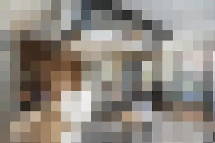 Mannagras 15 Zwolle thumbnail 13