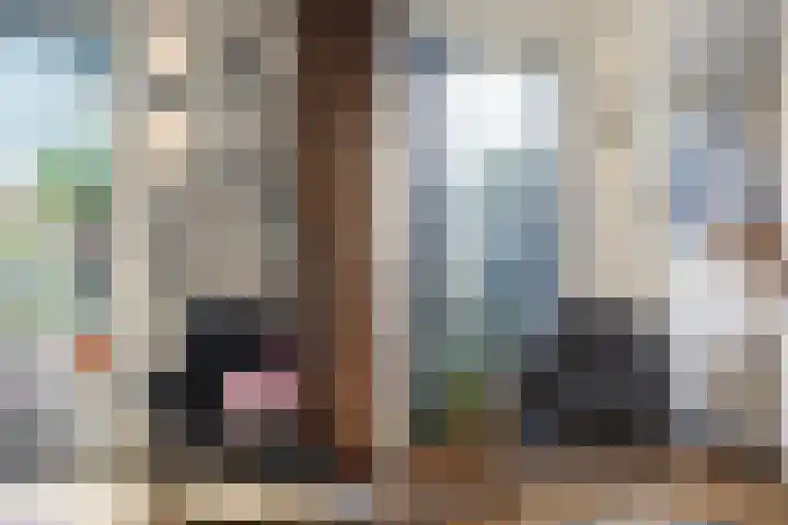 Mannagras 15 Zwolle thumbnail 15