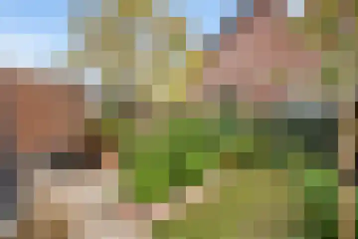 Mannagras 15 Zwolle thumbnail 22