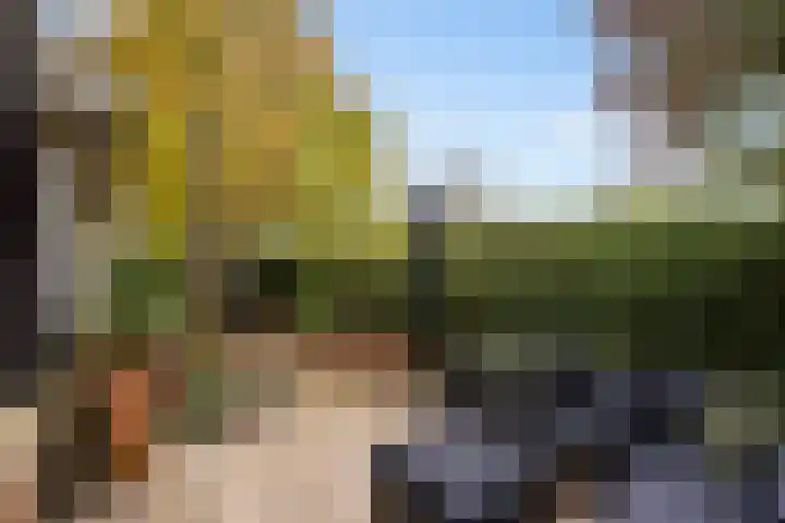 Mannagras 15 Zwolle thumbnail 23