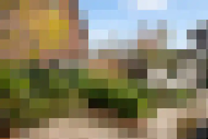 Mannagras 15 Zwolle thumbnail 25
