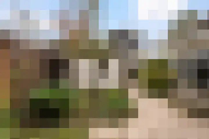 Mannagras 15 Zwolle thumbnail 26