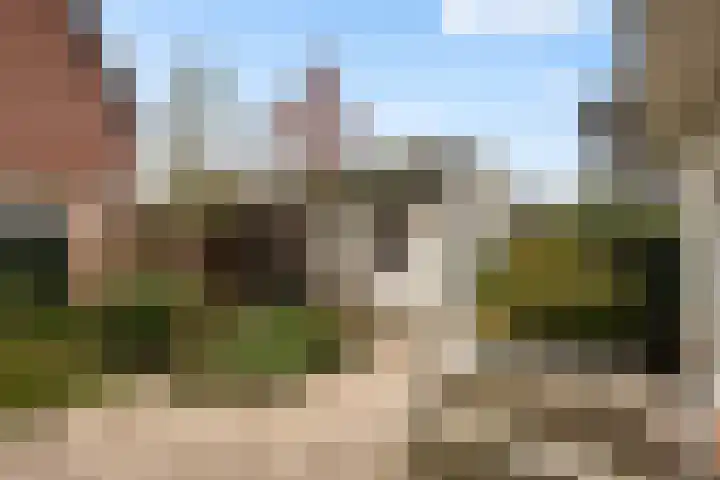 Mannagras 15 Zwolle thumbnail 27