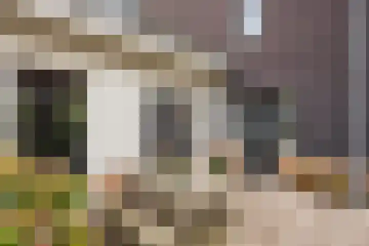 Mannagras 15 Zwolle thumbnail 29