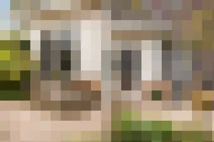 Mannagras 15 Zwolle thumbnail 31