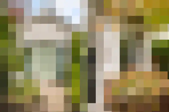 Mannagras 15 Zwolle thumbnail 32