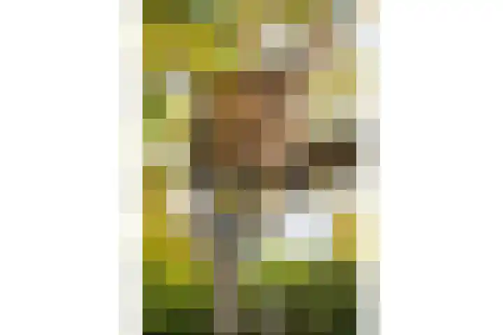 Mannagras 15 Zwolle thumbnail 34