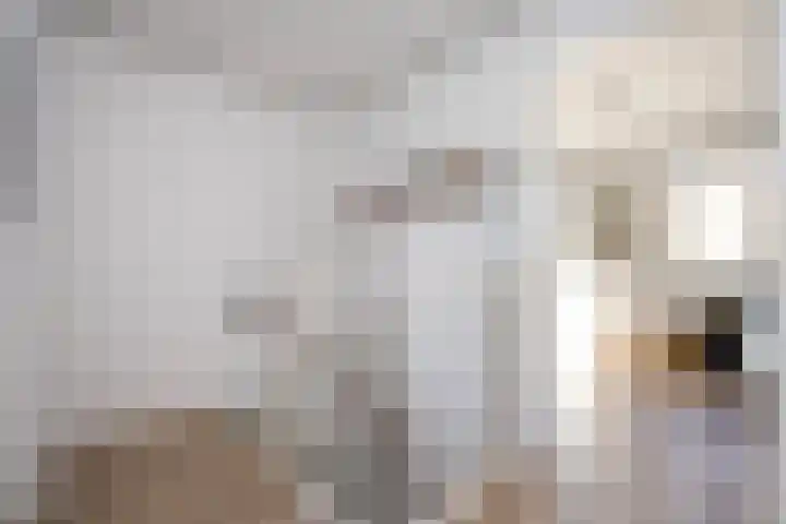 Mannagras 15 Zwolle thumbnail 37