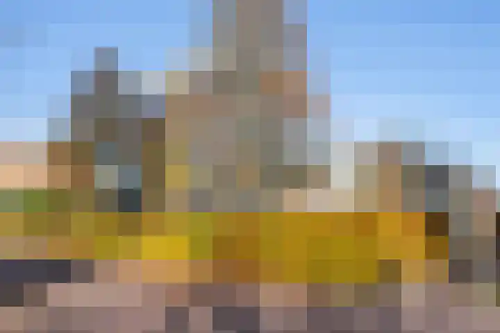 Mannagras 15 Zwolle thumbnail 5