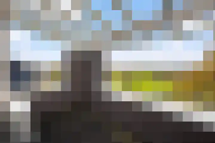 Mannagras 15 Zwolle thumbnail 53