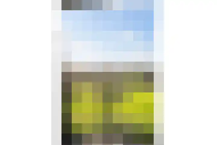 Mannagras 15 Zwolle thumbnail 54