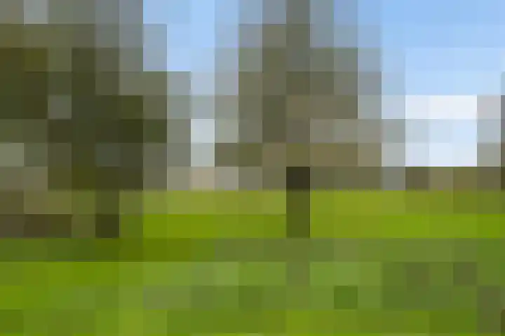 Mannagras 15 Zwolle thumbnail 57