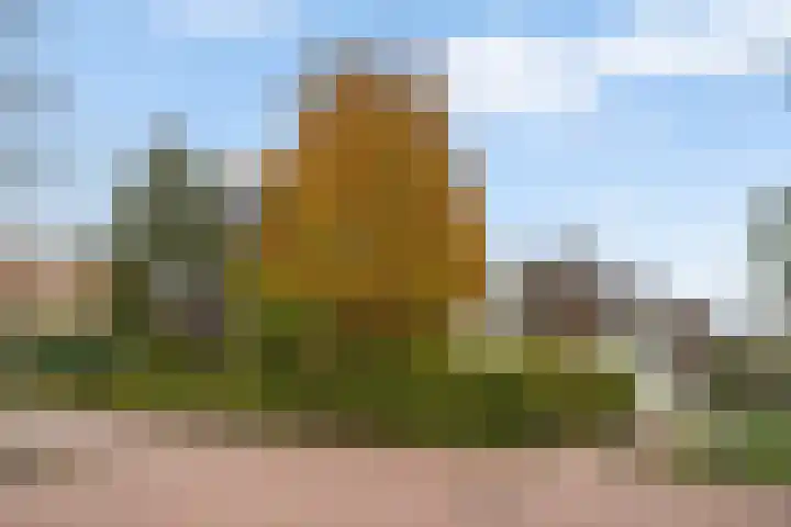 Mannagras 15 Zwolle thumbnail 6