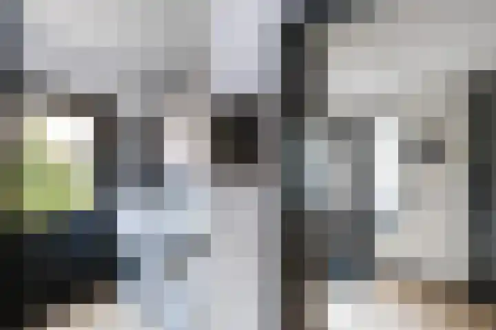 Mannagras 15 Zwolle thumbnail 9