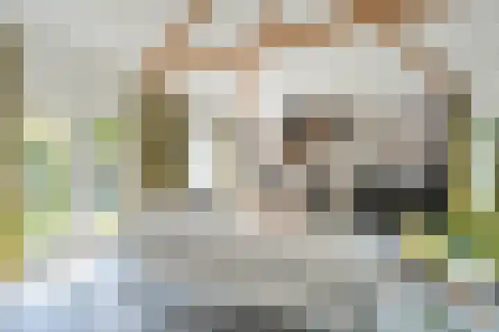 Mannagras 19 Zwolle thumbnail 10