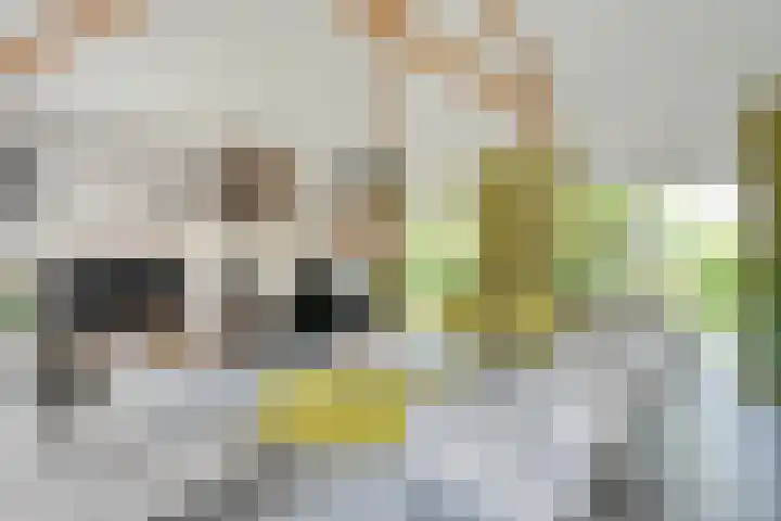 Mannagras 19 Zwolle thumbnail 11