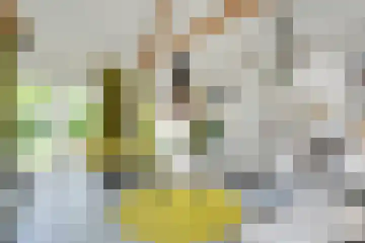 Mannagras 19 Zwolle thumbnail 12
