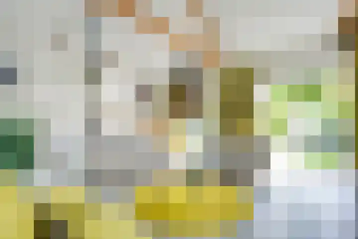 Mannagras 19 Zwolle thumbnail 13