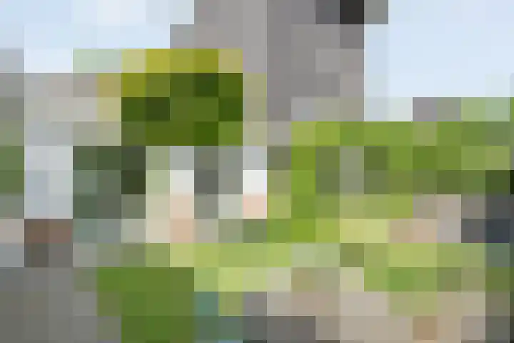 Mannagras 19 Zwolle thumbnail 37