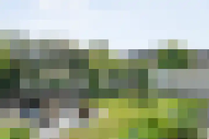 Mannagras 19 Zwolle thumbnail 39