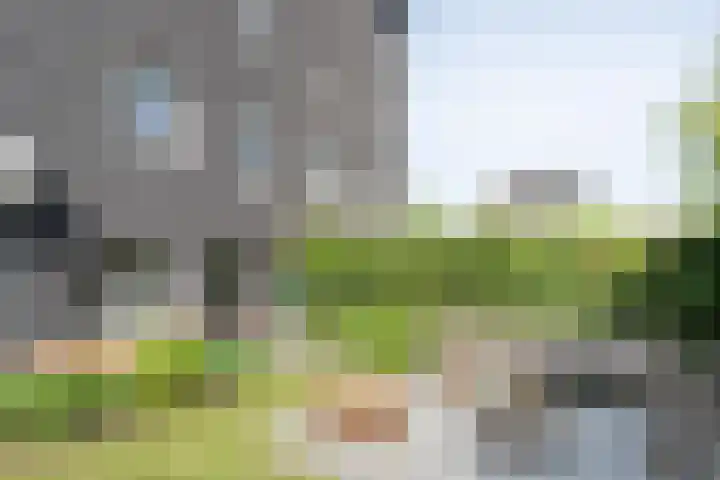 Mannagras 19 Zwolle thumbnail 41
