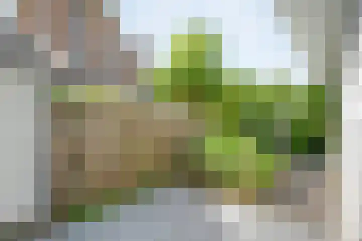 Mannagras 19 Zwolle thumbnail 43