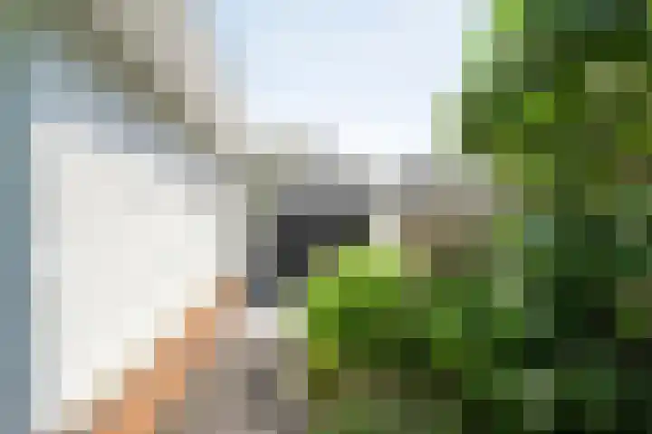 Mannagras 19 Zwolle thumbnail 44