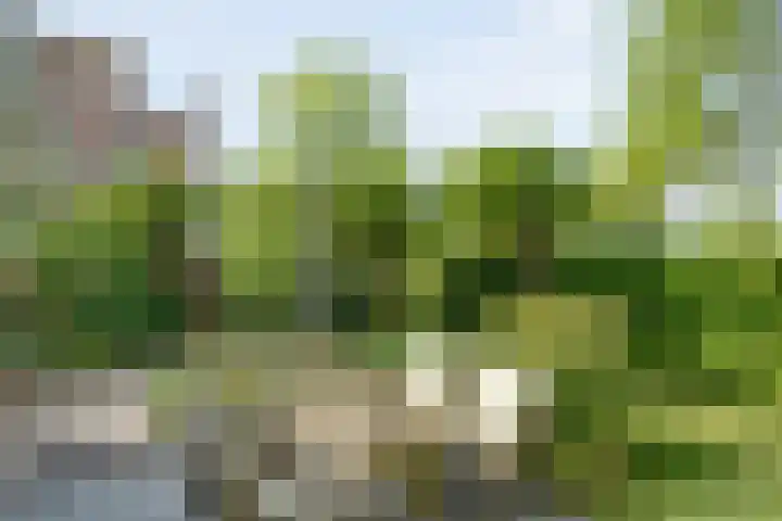 Mannagras 19 Zwolle thumbnail 6