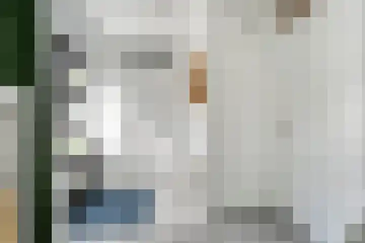 Mannagras 19 Zwolle thumbnail 8