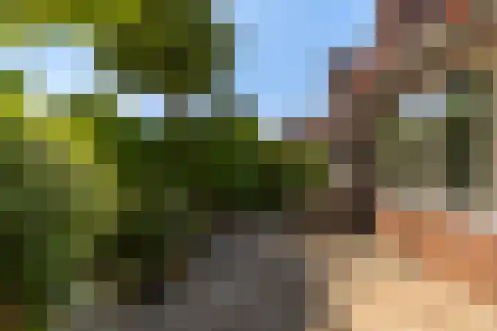 Mannagras 79 Leeuwarden thumbnail 23
