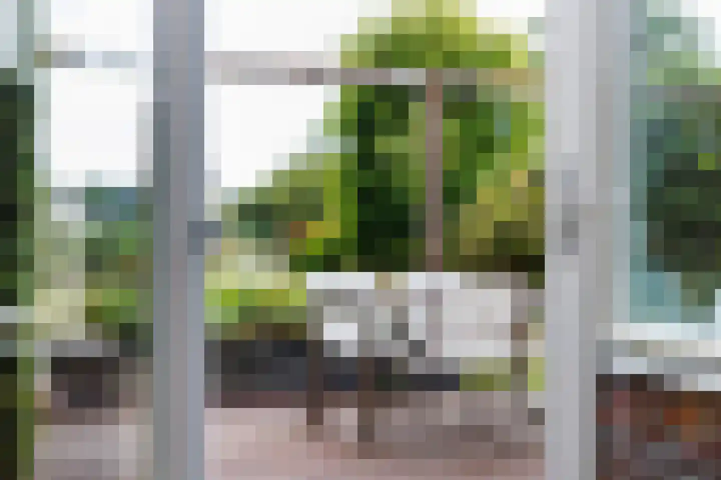 Mannagras 87 Leeuwarden thumbnail 26