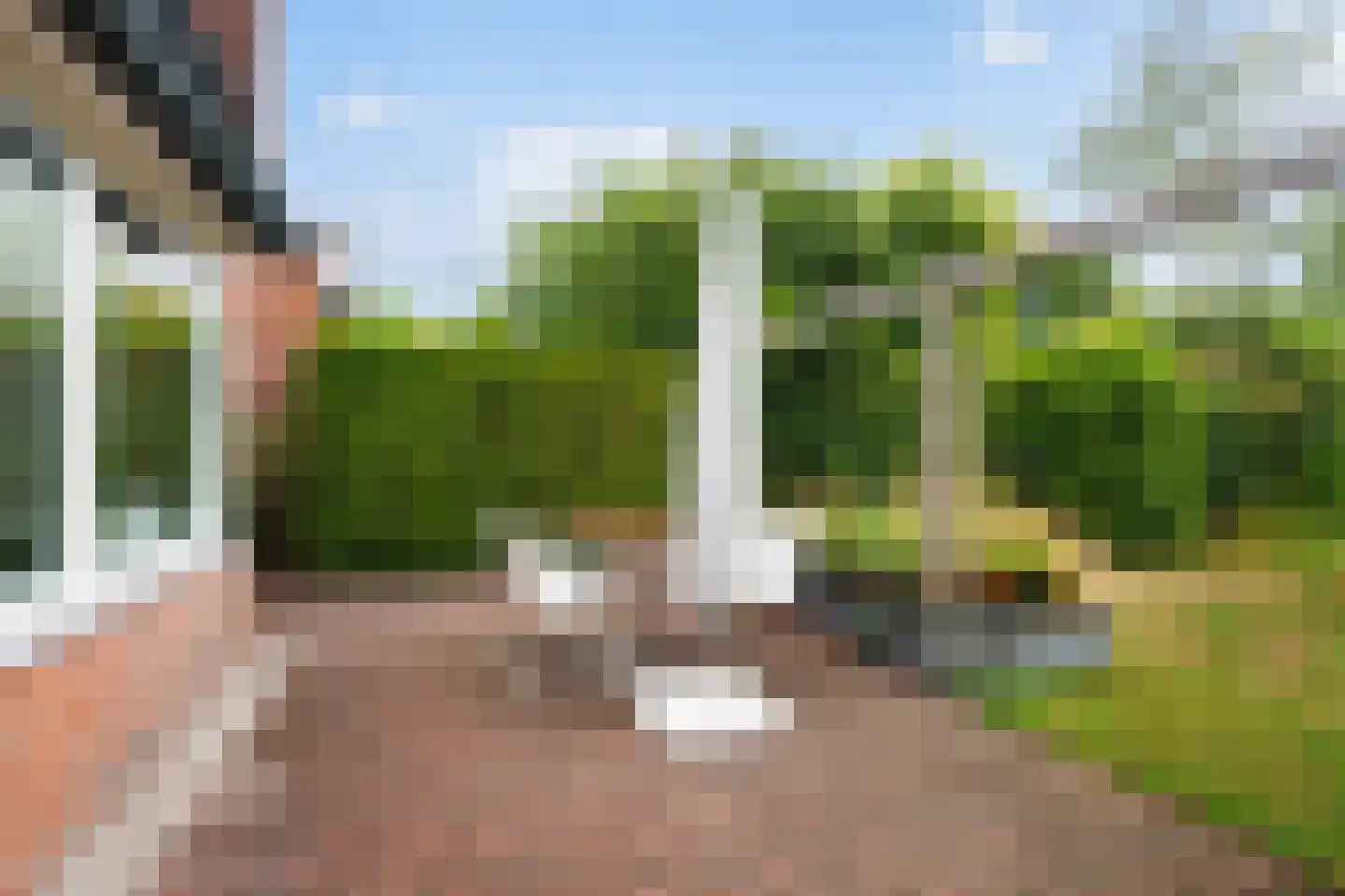 Mannagras 87 Leeuwarden thumbnail 30