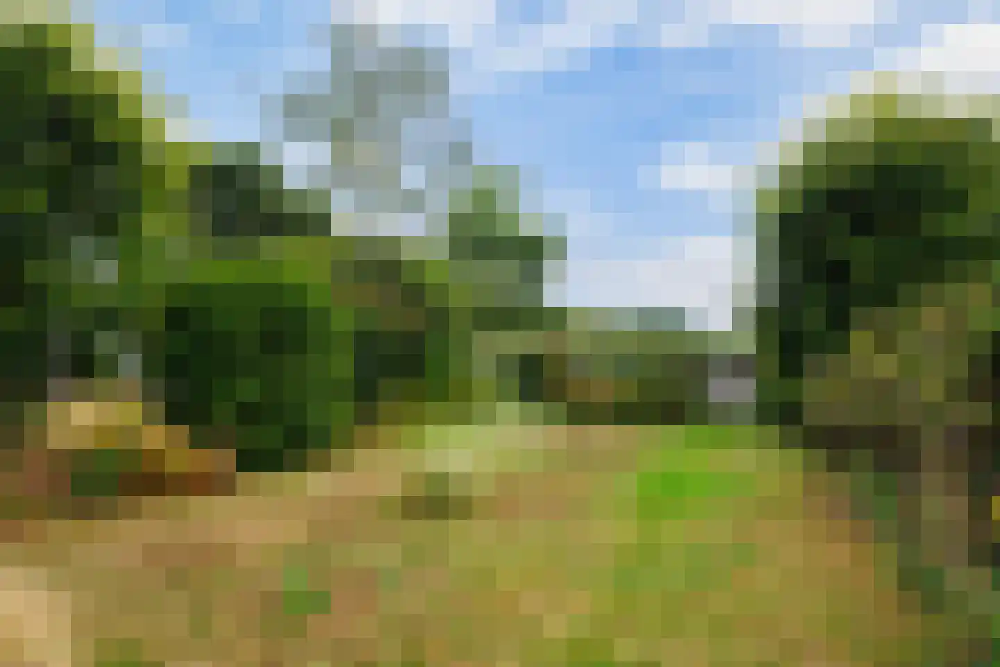 Mannagras 87 Leeuwarden thumbnail 31